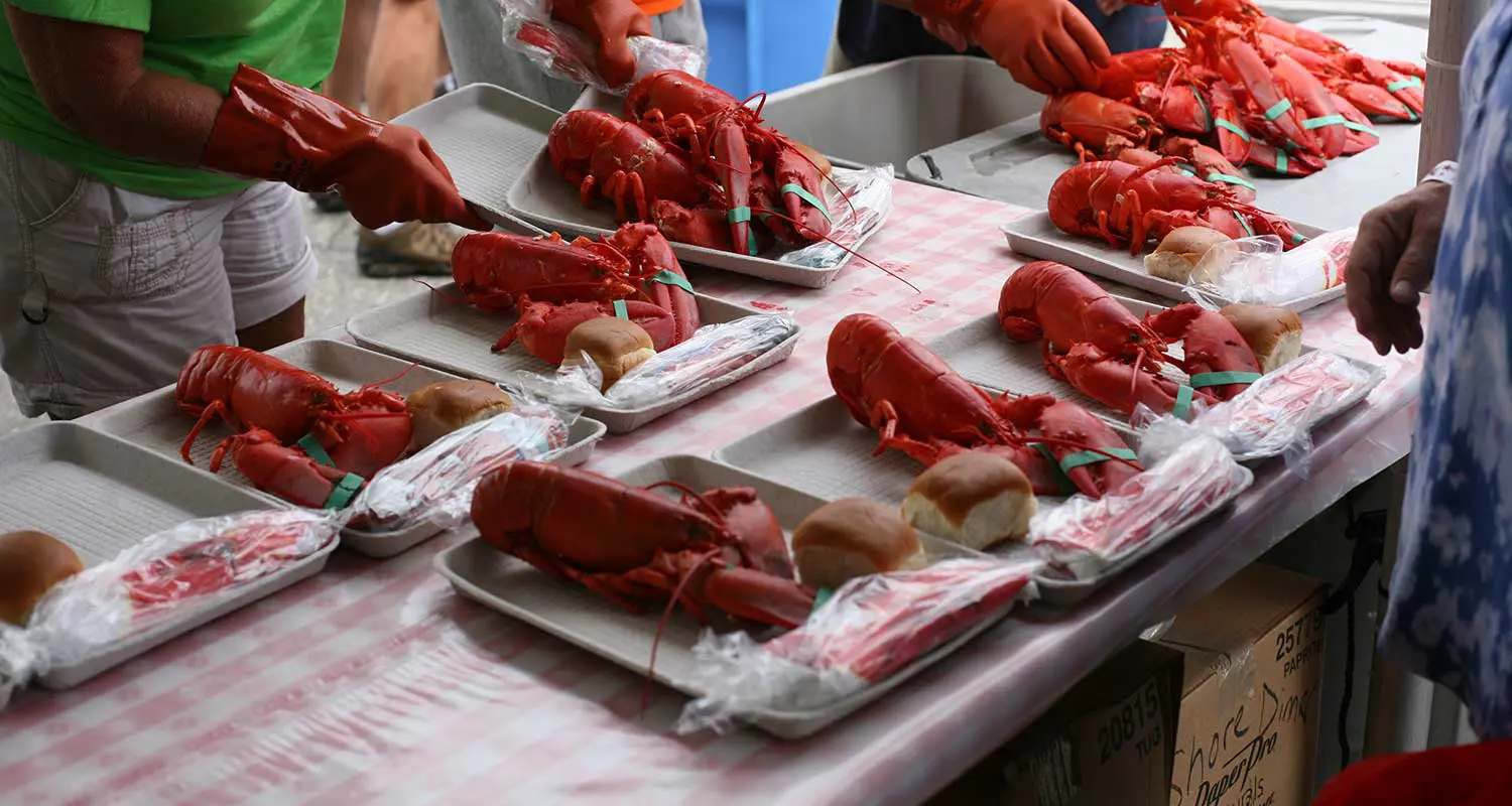 Lobsters at Maine Lobster Festival
