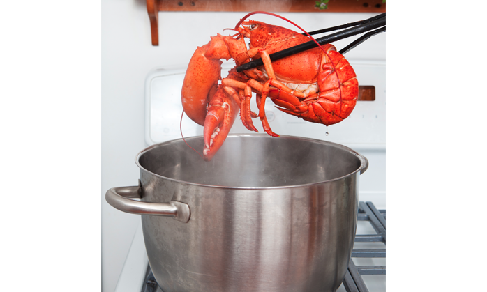 Choosing the Right Lobster Cooking Pot - Maine Lobster Festival