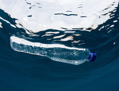 Do Your Part To Keep Our Oceans Clean