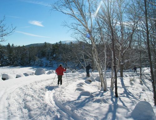 See The Winter Side of Maine