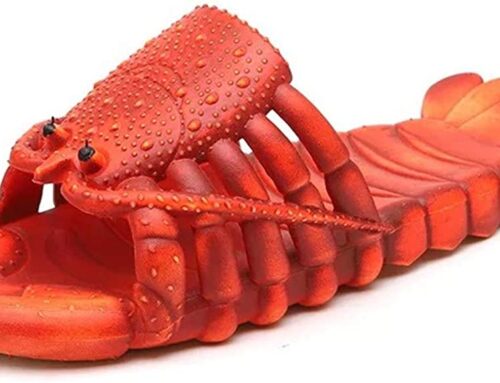 Holiday Gift Guide for Lobster Lovers