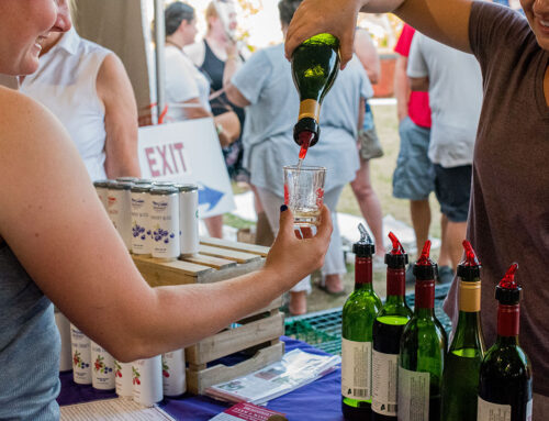 Get Your Taste Buds Ready for the 8th Annual Steins & Vines Tasting Event