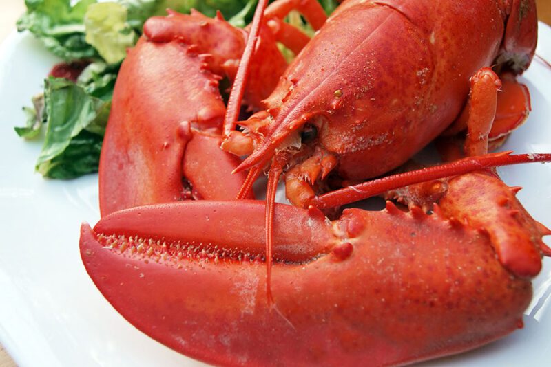 The Nutritional Powerhouse: Include Lobster as Part of a Healthy Diet ...